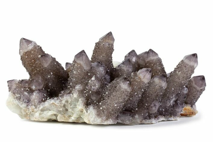 Sparkling Smoky Amethyst Cactus Crystal Cluster - South Africa #373462